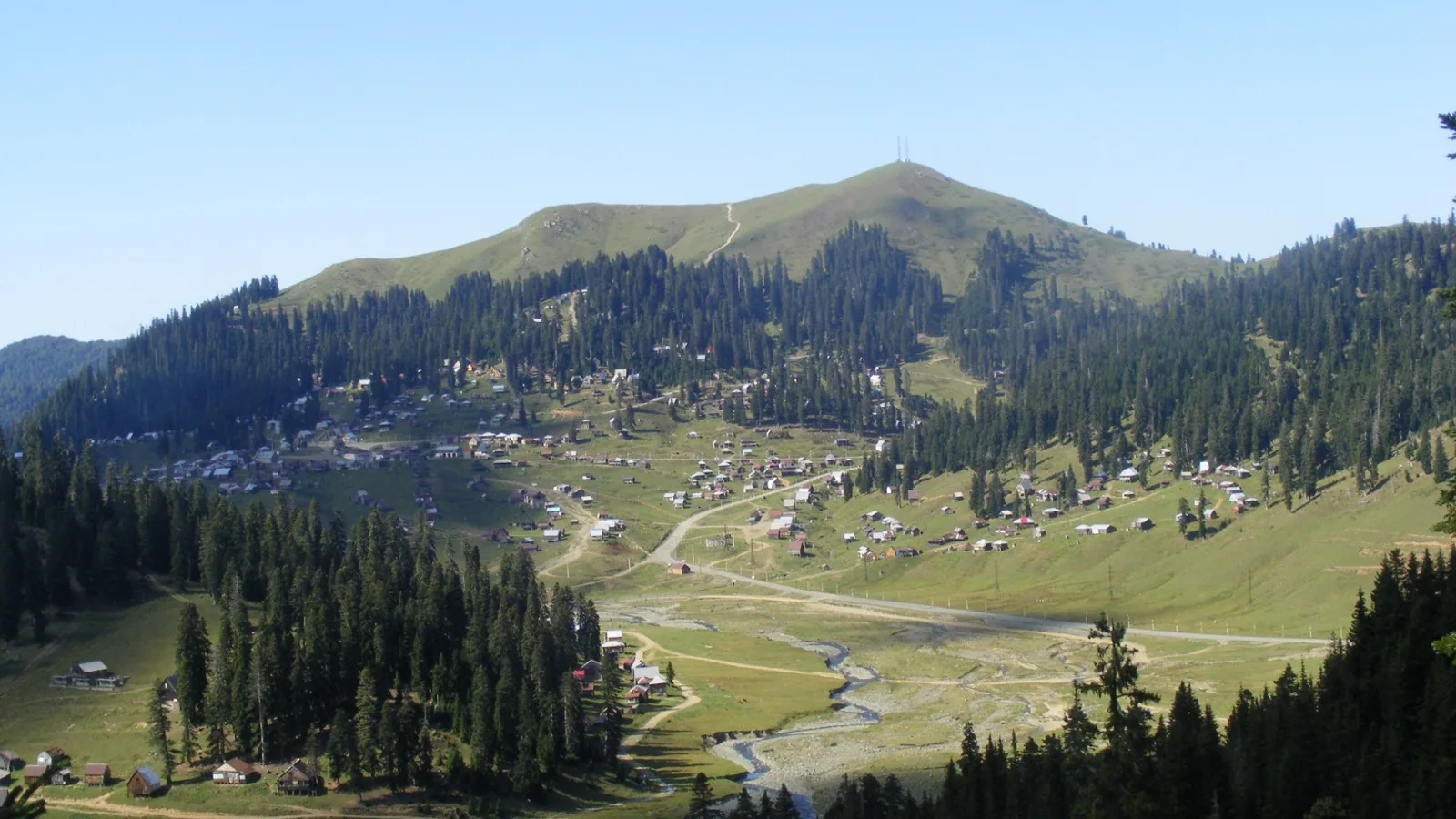 Bakhmaro through the pine forests of upper Guria
