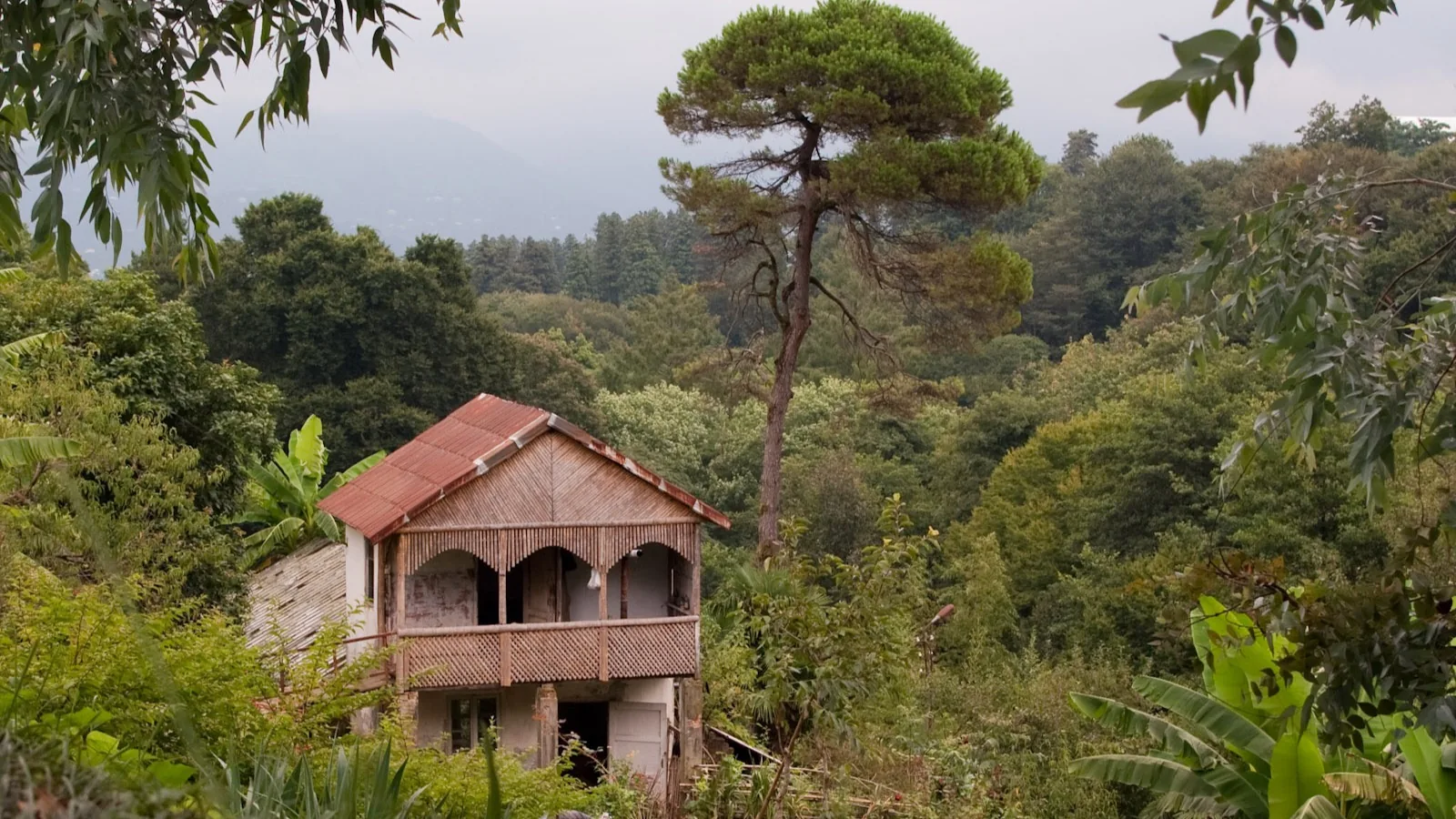 Batumi Botanical Garden and Petra Castle