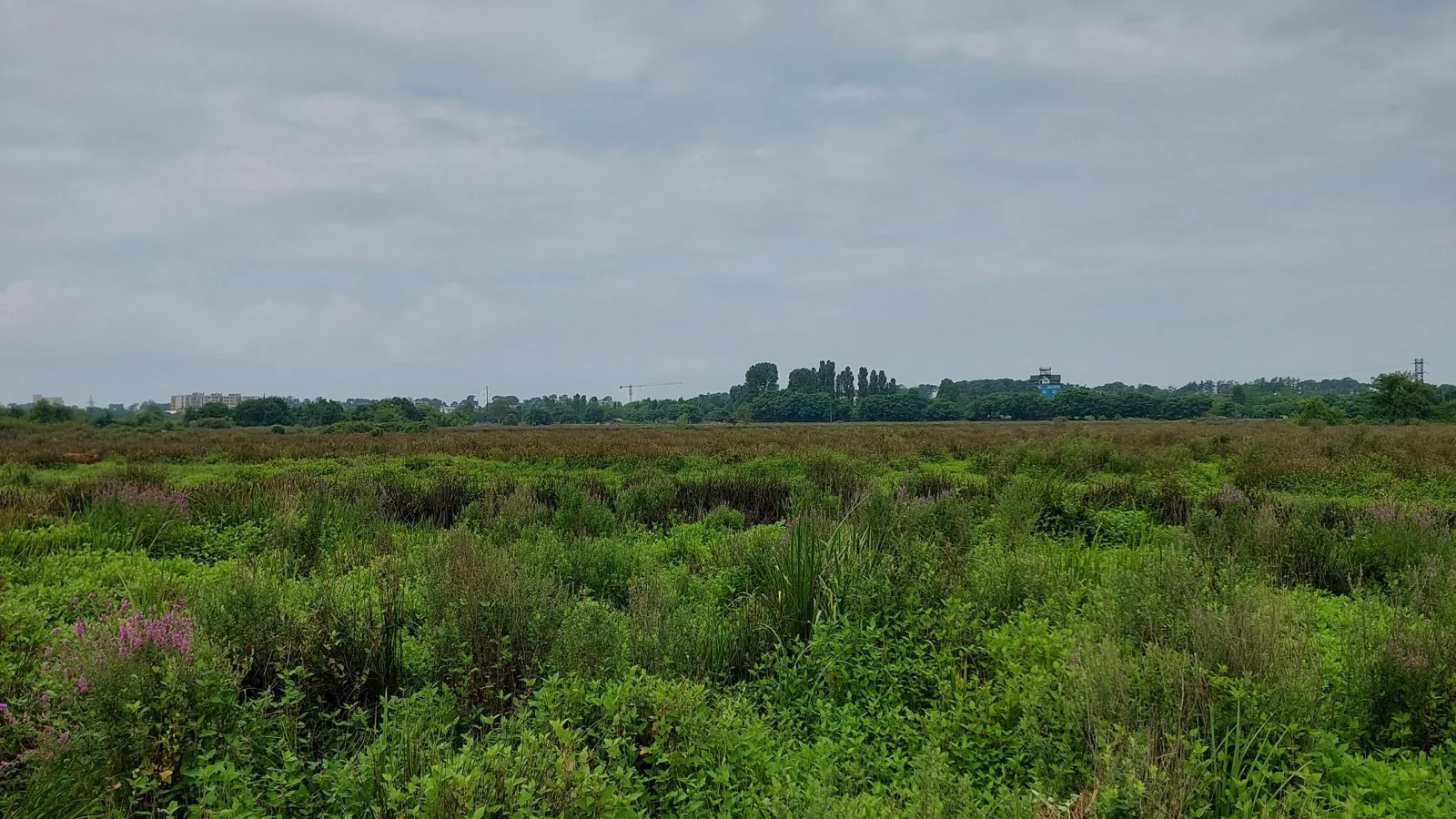Kobuleti National Park - birdwatching and wetlands