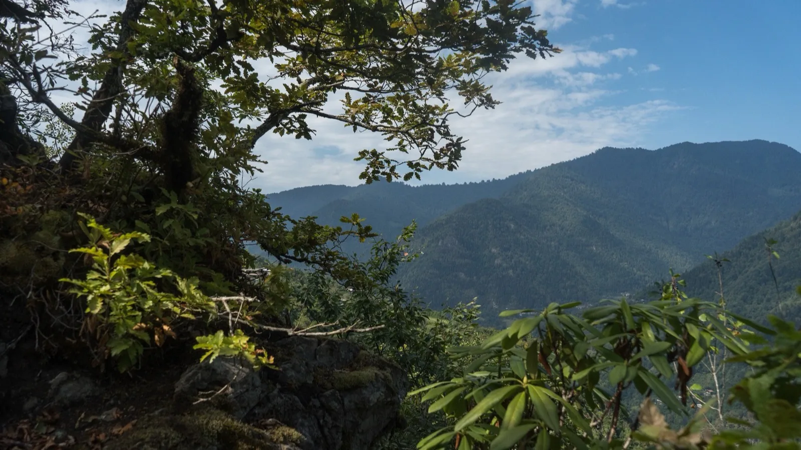 Machakhela National Park - valley, village and chestnuts