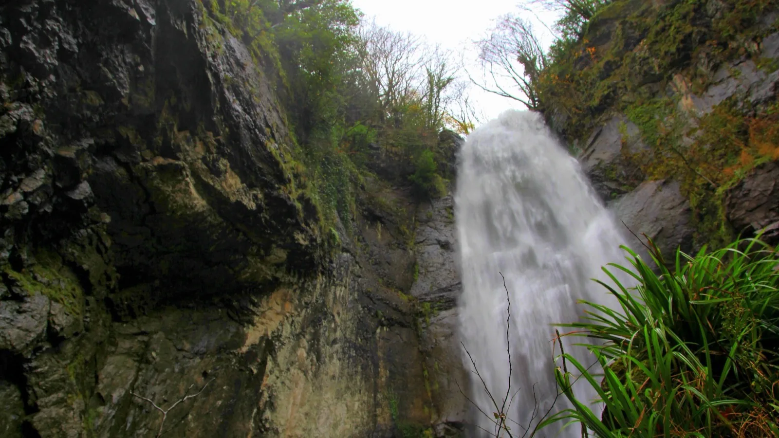 Makhuntseti waterfall, Tamar's Bridge and Keda wine