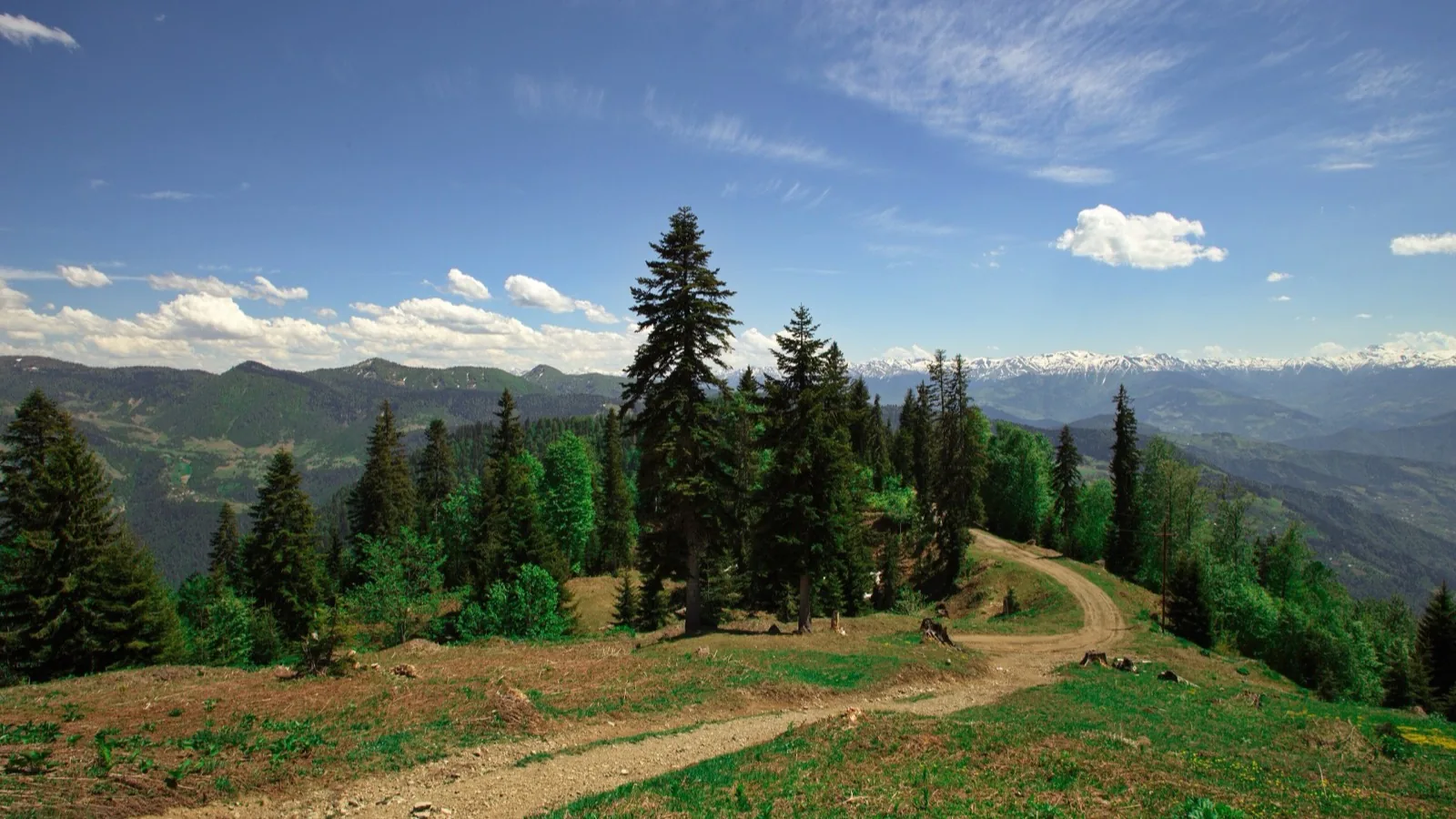 Mtirala through Khekhara to Zerabosel and Kintrishi